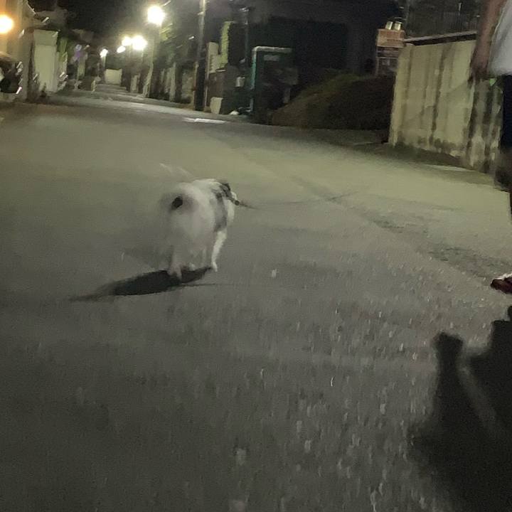 356f0895 746d 4e22 9a4d 79eca661539a 1691845668548