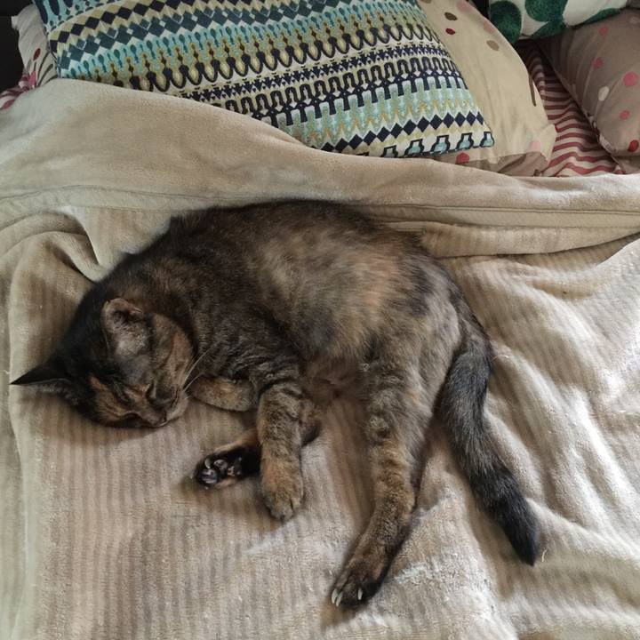 356f122e 29b0 4b7c a634 66c5743ca9f9 1566011859524