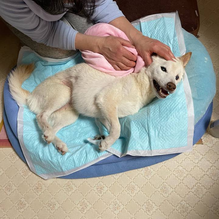 356f1c11 faf8 4e47 a990 ee3bbf341473 1676549719549