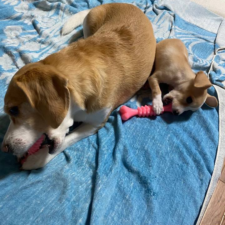 356f3aeb d7ab 4d1f b5c5 3856528506b2 1661667076605