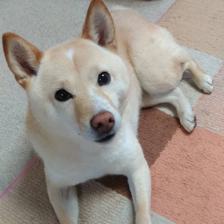 356f5ab9 3203 4eda b7c0 43cab766fc73 1584395790011