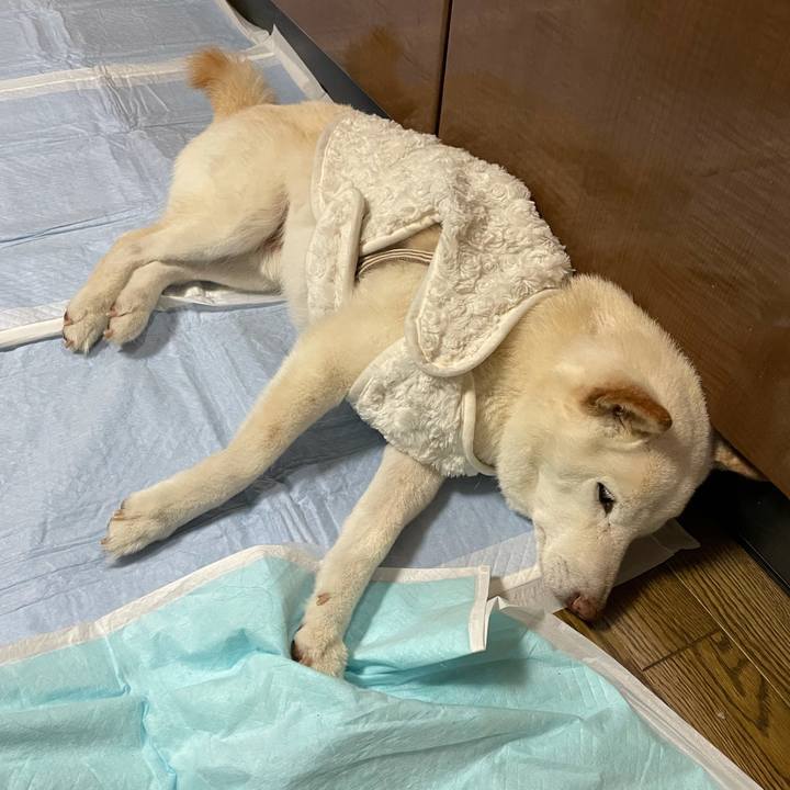 356f7261 7b9c 44ac 99e1 f3e69bf0ddc5 1640002735886