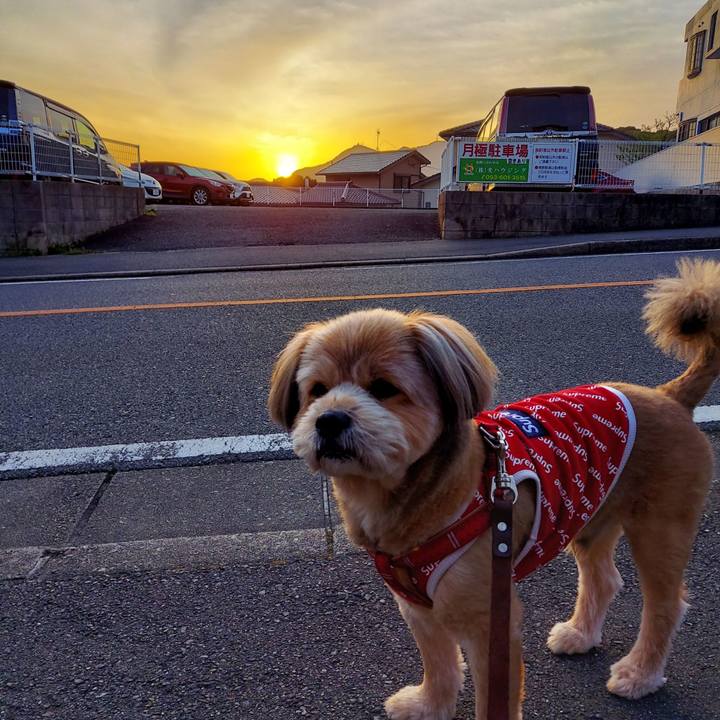 356fa519 eaa8 44c1 858f 9943423e7868 1617141430231