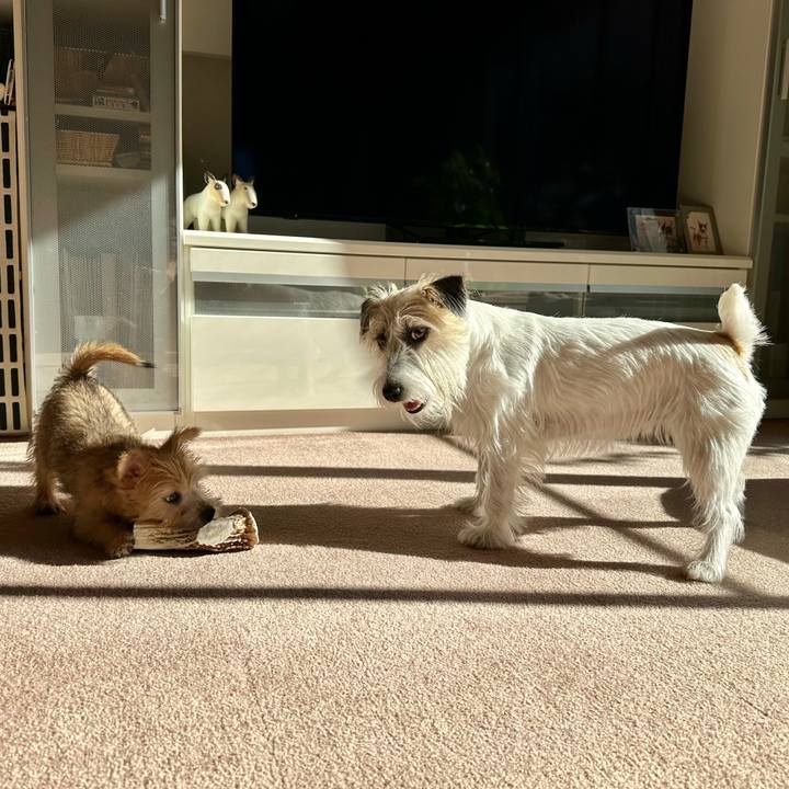 356faaf2 64b0 4f76 b9ca 5ffaaa84f64b 1701185263574