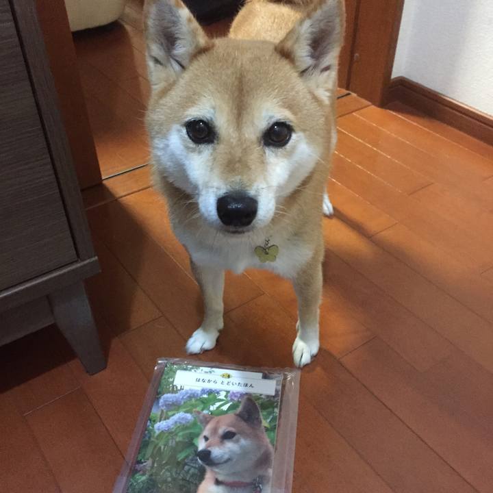 356fd53e 7928 46e9 97df b8b3b02a0fa1 1508672006472