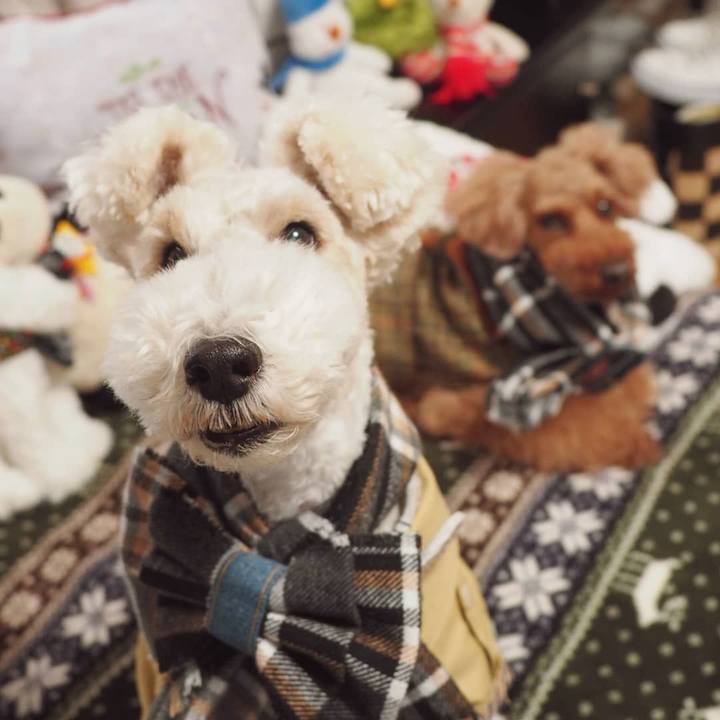 356fd8f5 a74f 4e85 96f6 15237b1718b5 1544437406172