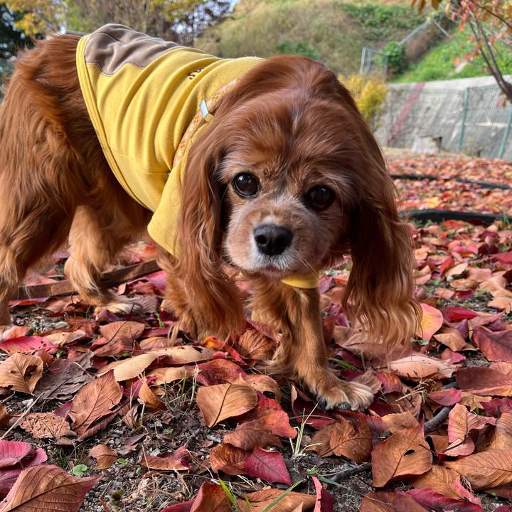 356ffa06 9dc0 4a64 b0e1 dde7bfa140ea 1763430774082