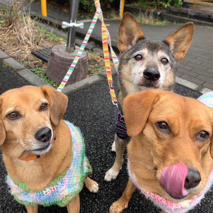 35701512 2e5f 4e15 88ae 5fc1ed8e0047 1573433754738