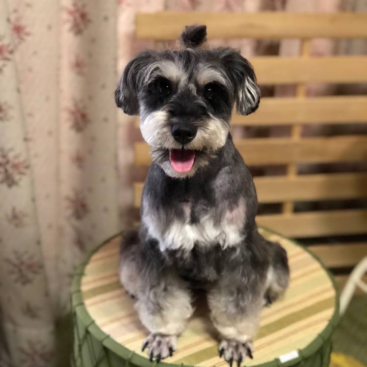 35702058 e4dc 4897 b7b9 3acba5eebbaf 1532596754186