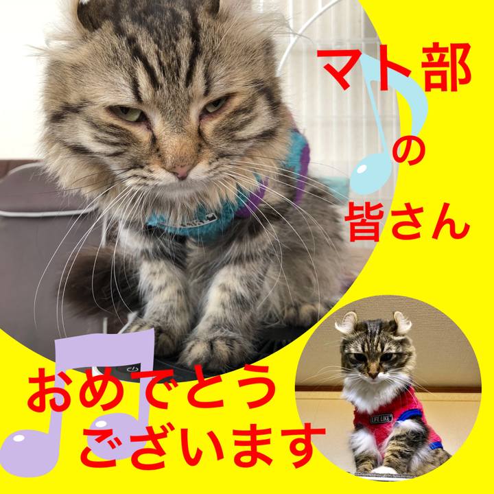 35703193 c1ea 4150 873d 4596e31778b2 1540475824513