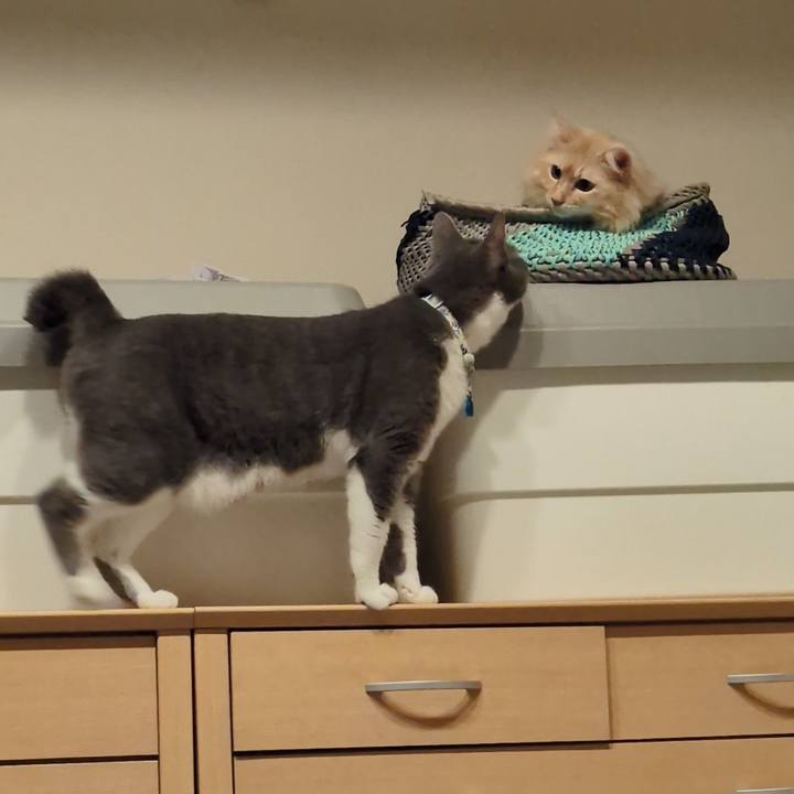 357049ca 29a7 40f6 a242 377fc0d9424e 1759670838998