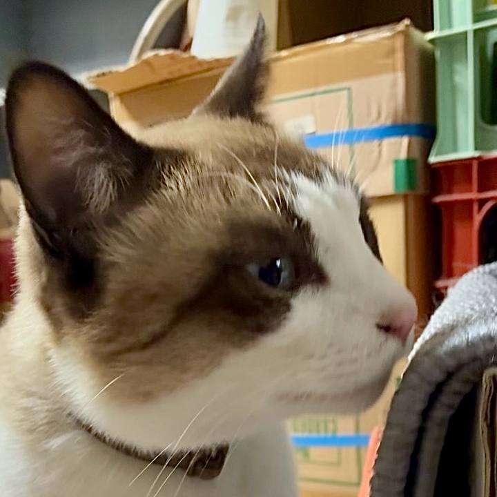 35705ab6 284f 4f4f a482 97d9a2b97038 1763440681753