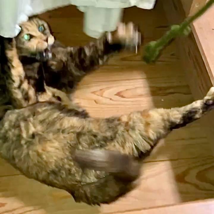 3570857f 6ad0 432a b565 2e657821d743 1738442665122