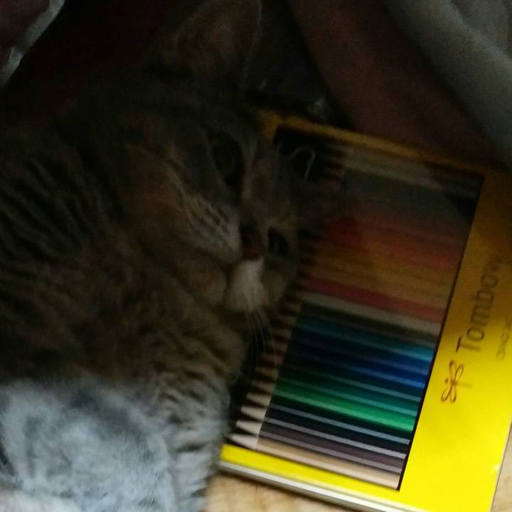 35708e5b d26d 460c a566 0341e9de9812 1594996326446