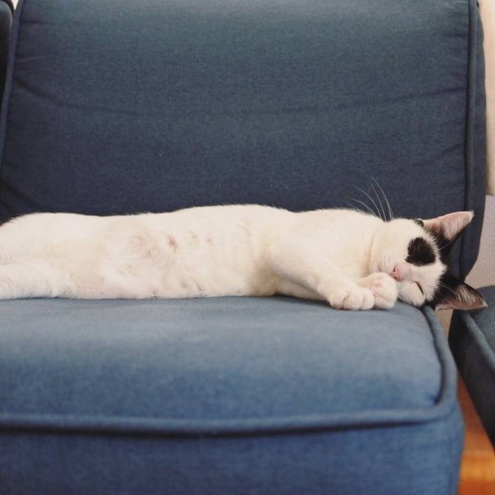 3570b48e 8589 46b8 950d cccf16839ab8 1570512040785