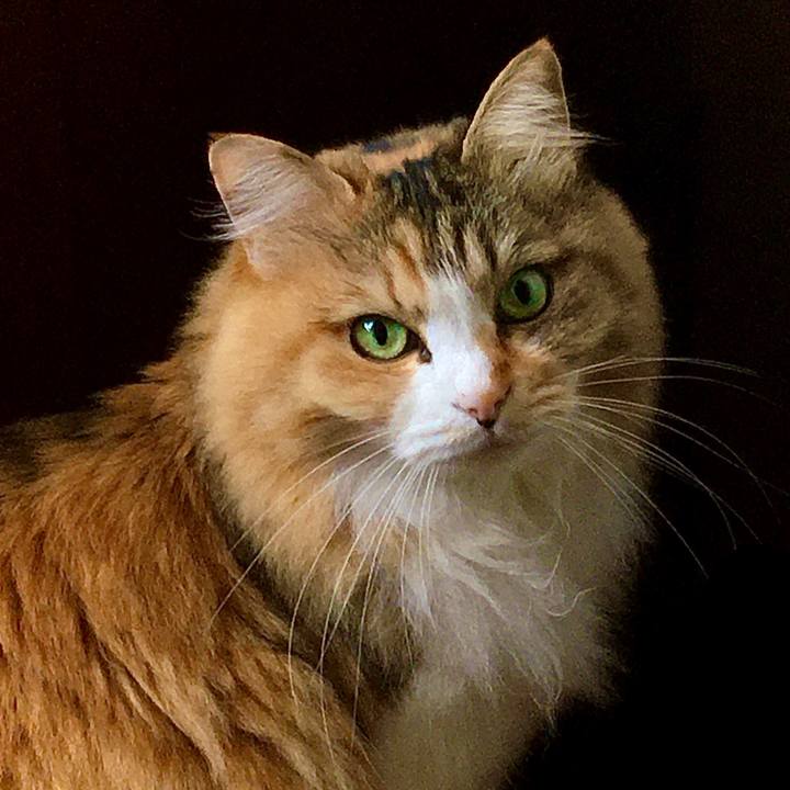 3570c63d 028f 419e b1e4 29ef24bf50c9 1617003277125