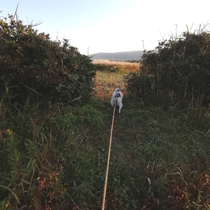 3570f3b8 d708 4399 8ee8 05d70893c153 1574035188663