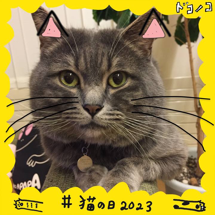 35712129 e0de 42ca b126 b487c3c3b3ee 1677019969463