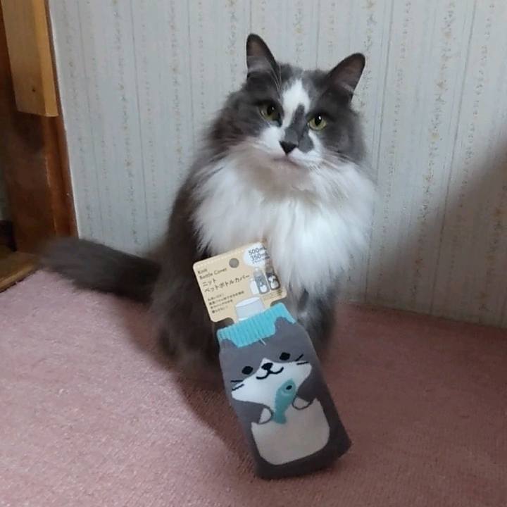 3571381b 8ac7 4273 a060 646bd5dcf158 1679385706304