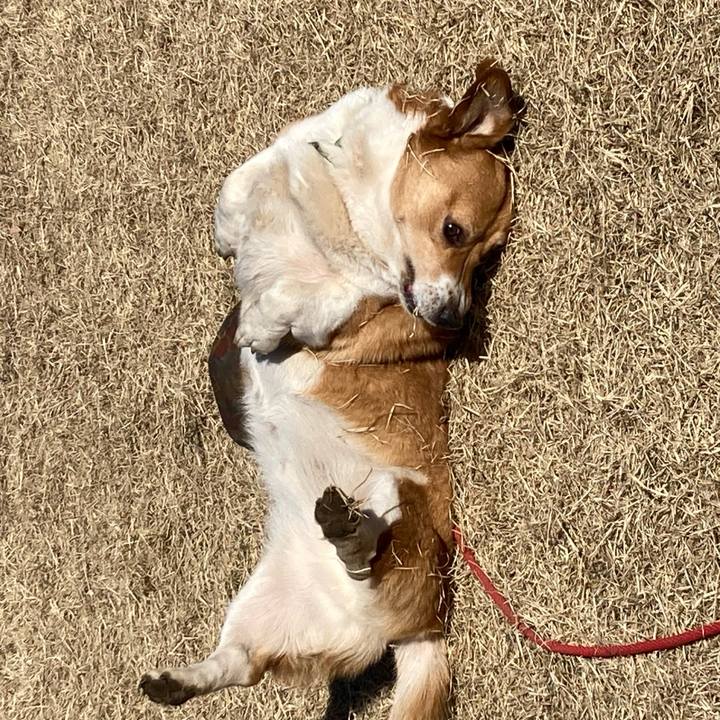 35714885 d071 44c7 a483 548262add716 1739151778351