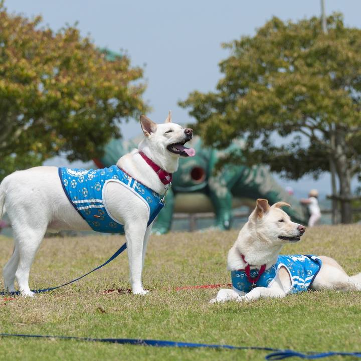 35715a1f ead1 4557 9d10 694d41e7ce67 1524394854798