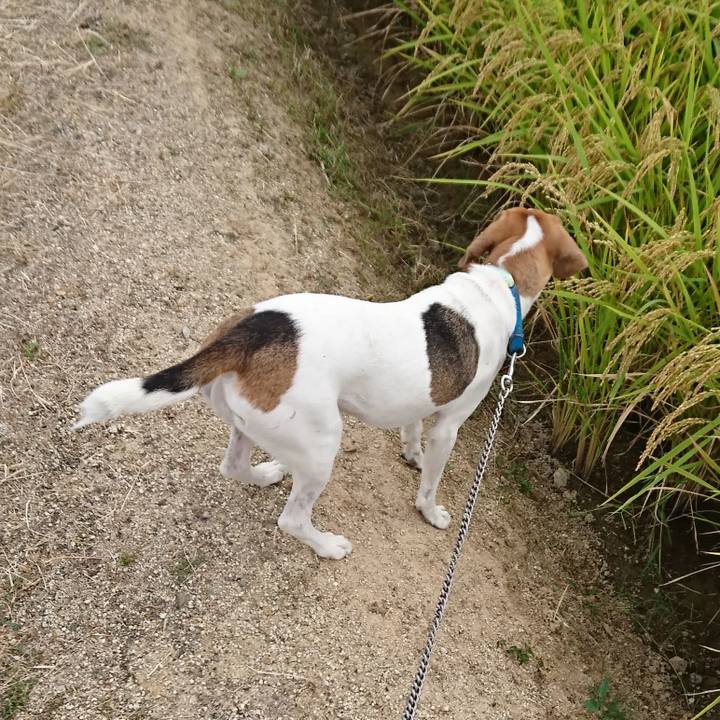 35715bda f05c 43a4 a78e cd413722bac9 1569750864116