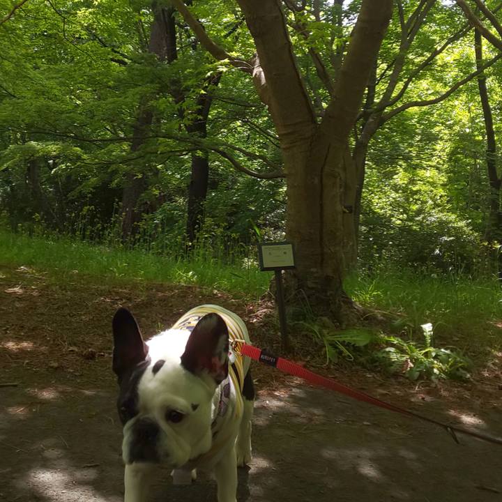 3571865f 2dc4 4184 a660 49671d22ea4d 1619351999046