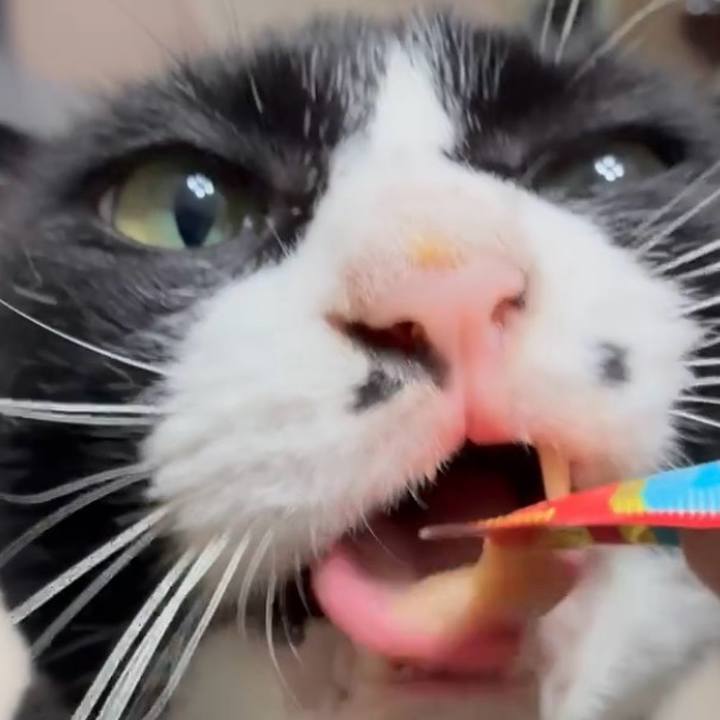 357195e4 cd8d 467e 8039 629e14e0d99b 1754965739088