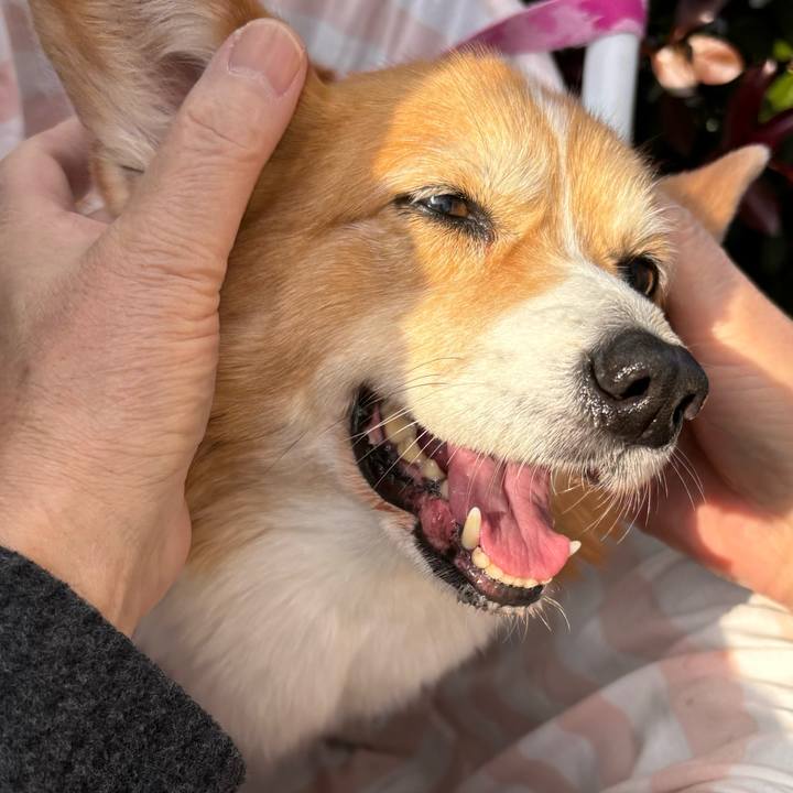 3571b6a6 c670 461f 93c6 1743e6993a67 1733975692232