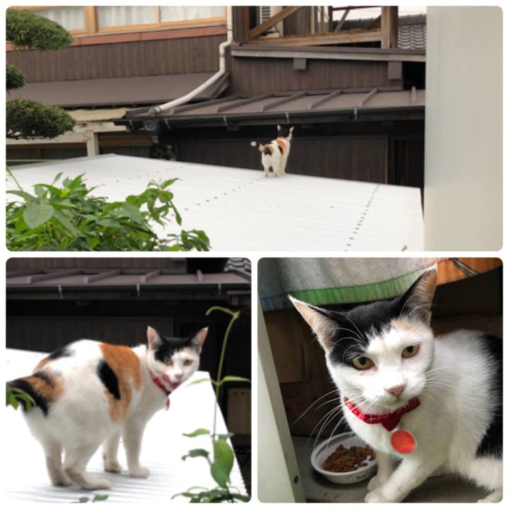 35720ccd 7418 4a94 aa0d 9f8bfbfcb9cf 1631830107908