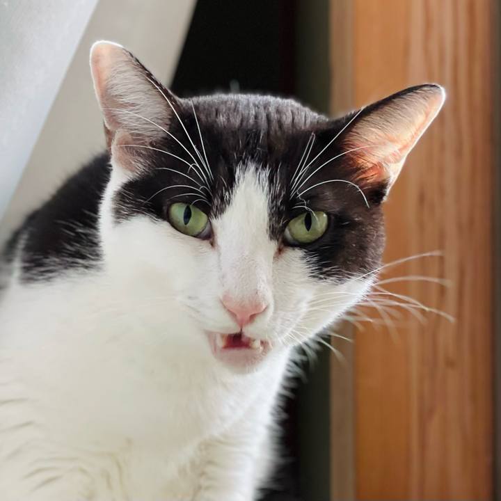 35725517 4aac 48c1 8a15 ee3e97a41eff 1635648533922