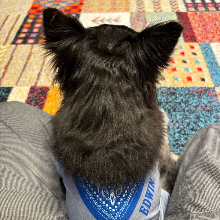 35729262 1d67 4ae6 8c64 20d31218ec62 1728143677622