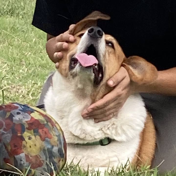 3572bcf2 bc44 415c 8b3b fc306b94590b 1760252806221