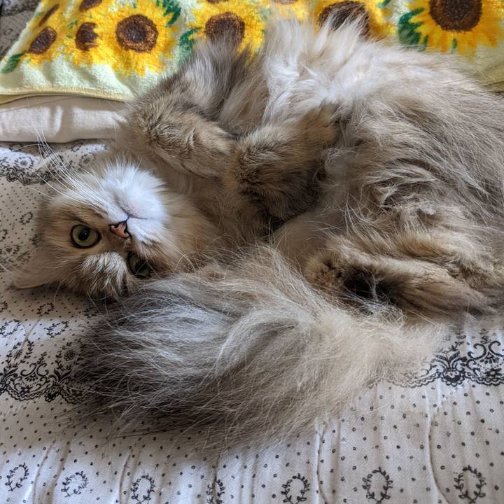 3572e938 b5cf 45f2 835f 28ecabddba38 1653314247134