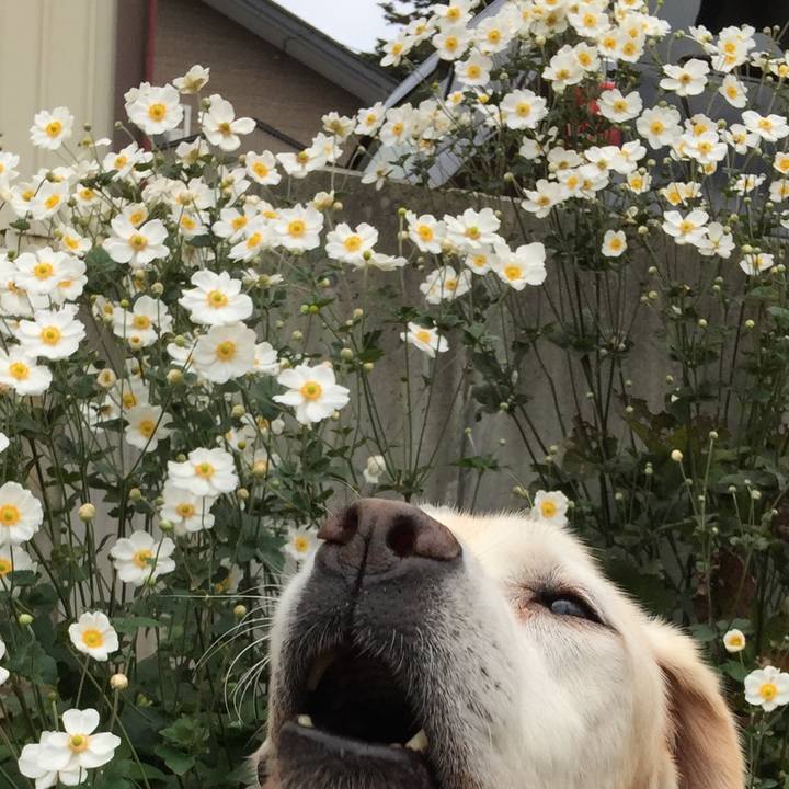 3572edf8 493a 45f9 88ed 6c79a8c78aee 1539166639991