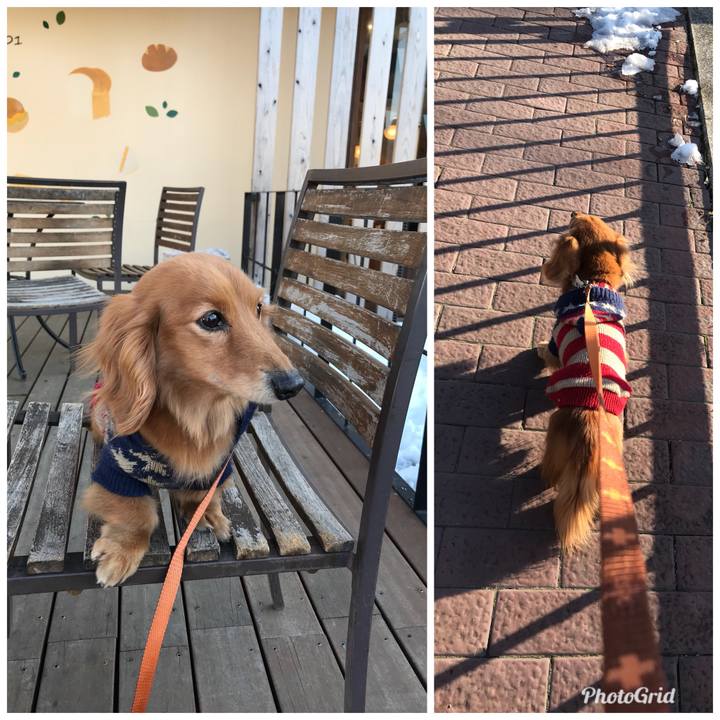 3572f3b0 f0c1 4eb5 97b5 798618cdd850 1517038345951