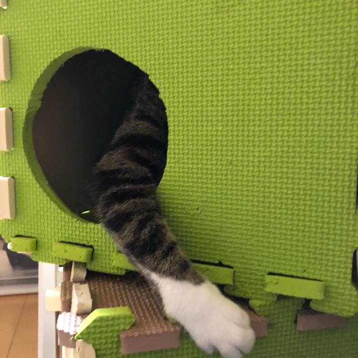 3572fed2 258b 4bb0 8996 ba9d137ada64 1521179607298