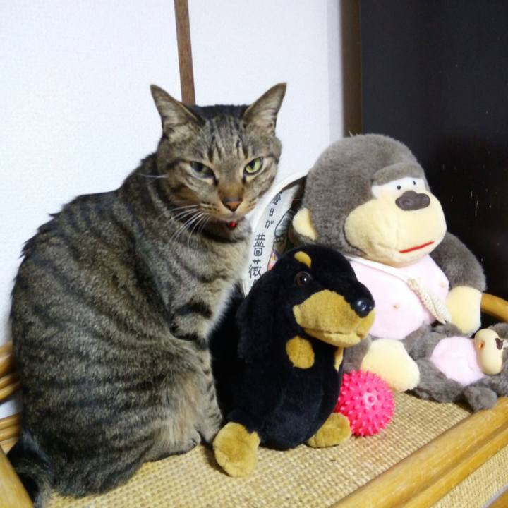 35730b29 61cb 4d99 b821 be9fda0b6d00 1512741150360