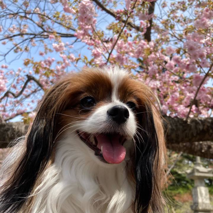 35731db4 7313 421e 8d13 4f6f9987d8c3 1682754946351