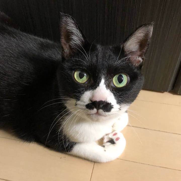 35731e49 75ff 4967 a1c7 d8bdb4d4dc87 1538580114662