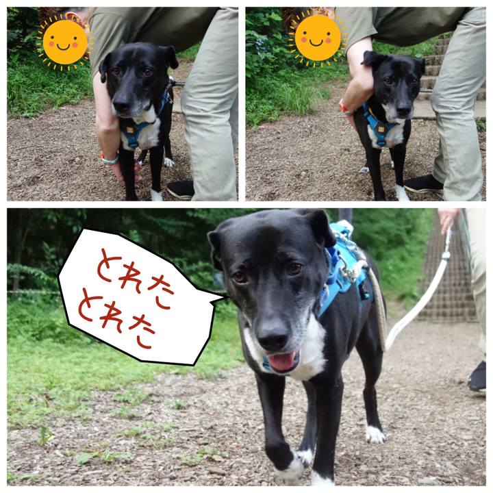 35732180 c50f 45af 8a5c 773d2098f872 1685531733346