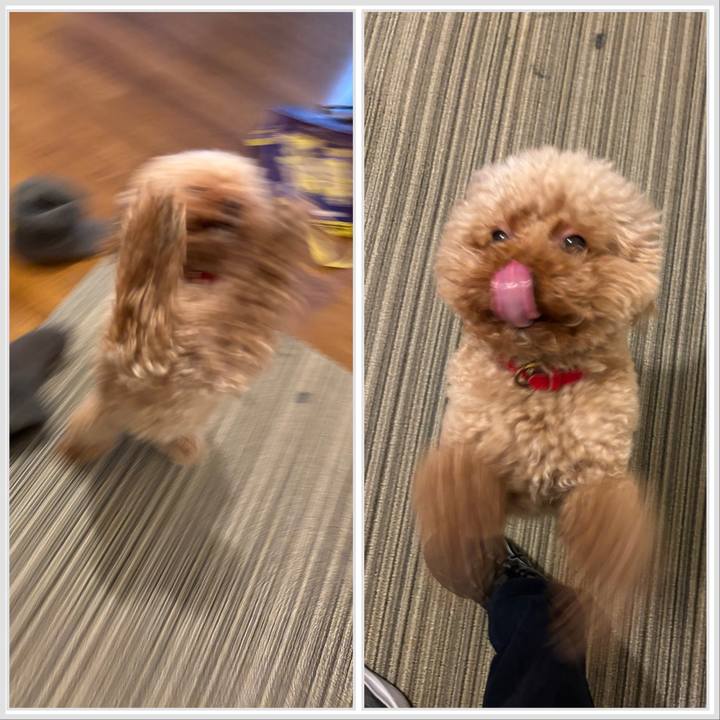 35736f69 02b9 4bda 8d9b 308952797190 1762187330631