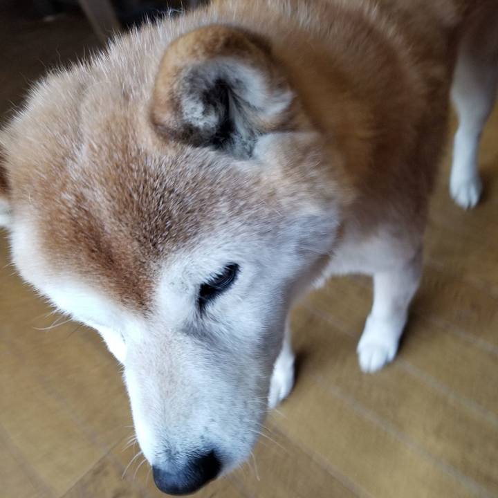 3573aaad b22a 49ad 99e8 b44d74b6dbb7 1676529921997