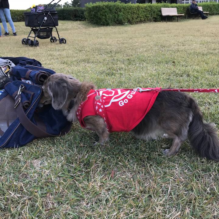 3573dff7 e199 4d0d a575 1b03397a2064 1509841854382