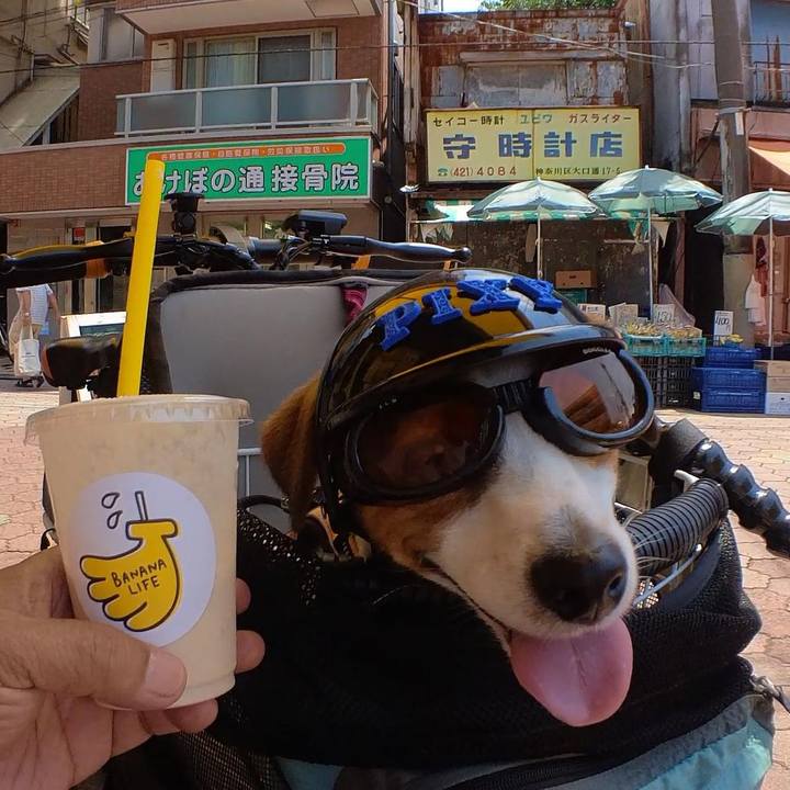 3573ef18 c873 41e7 9ff0 d24f37b9dd24 1688552986513