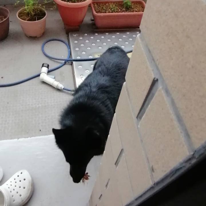 3573efd0 7b0c 4aa1 96b5 5334b69ef121 1628544915573