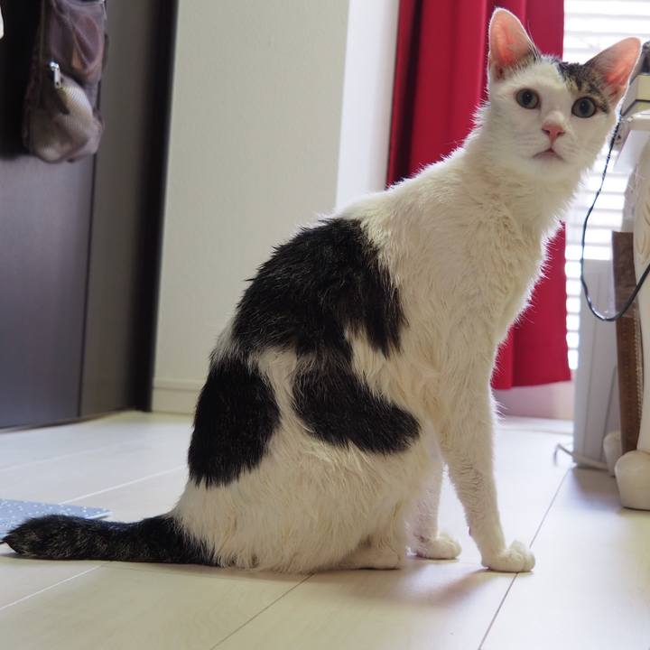 3573f284 a6d2 47bf 9a4f d1943cfb47a4 1597065551721