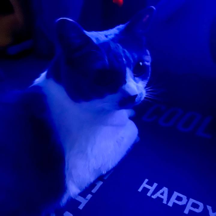 357405b4 e9f2 4f1a 85e1 4292c53a679c 1749746872314