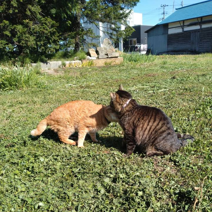 35740f51 b26f 42ab 90c7 0d40100d1661 1716282054780