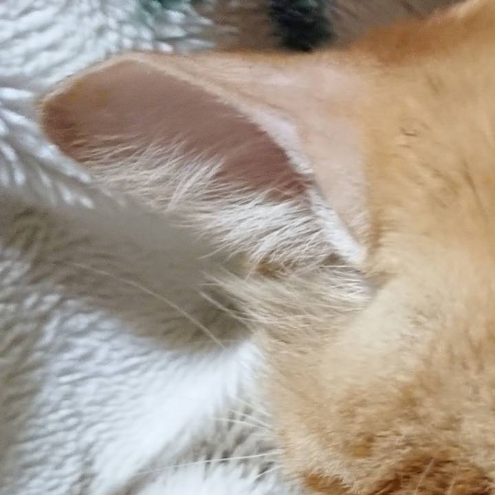 35743c14 19a2 4a89 8296 d8d1253eaf18 1643893701858